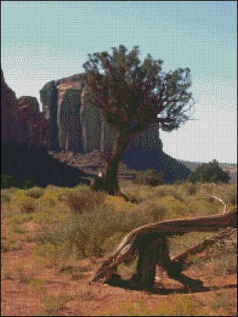 Navajo Monument Valley